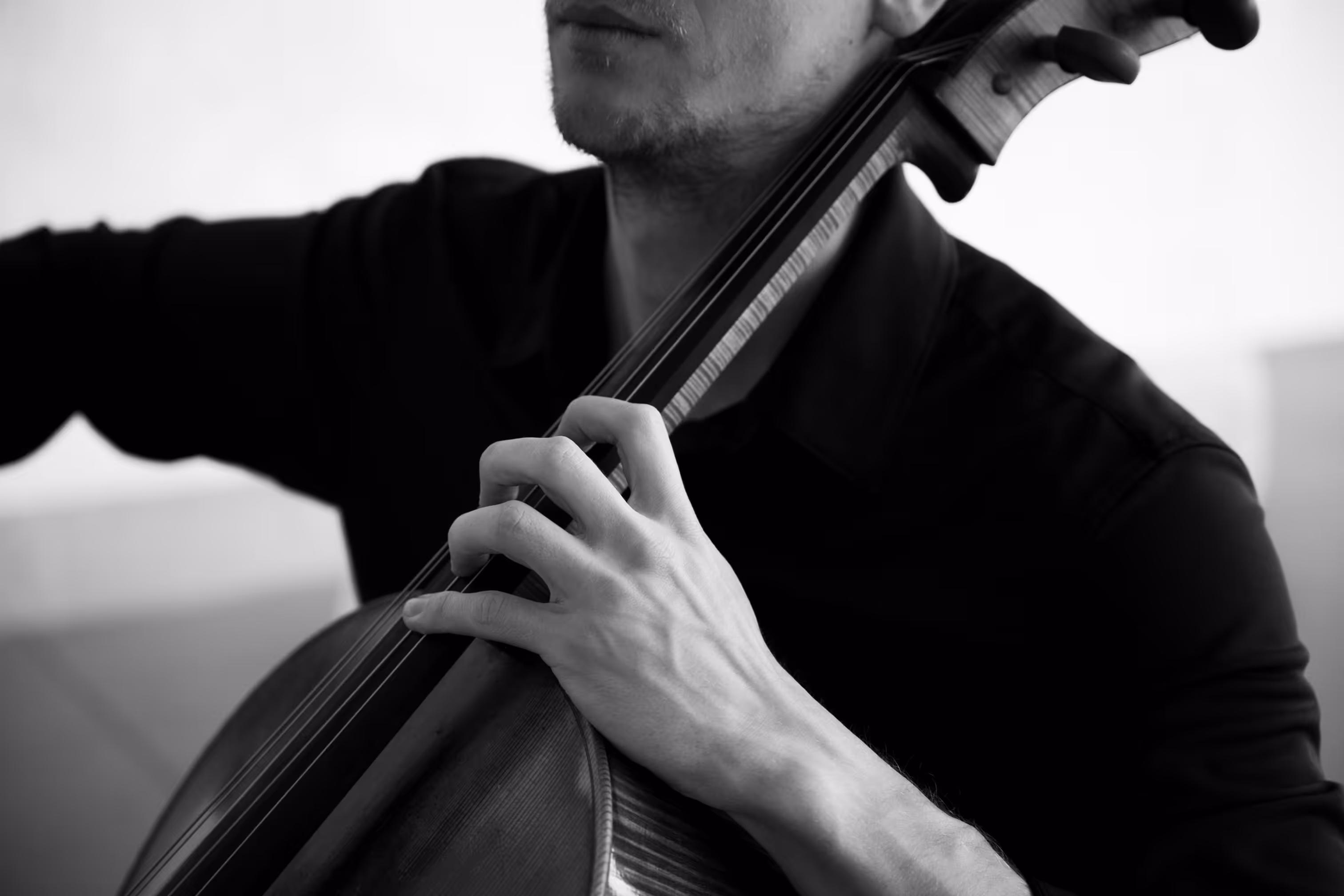 Performance musicale en direct par l'Agence Musicale de Paris